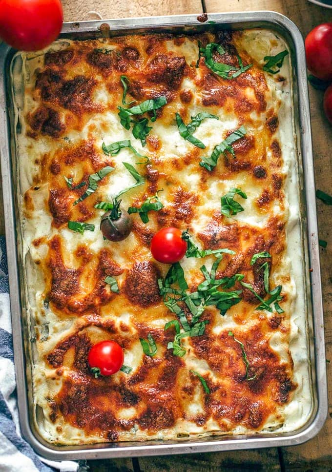 Creamy White Chicken Lasagna