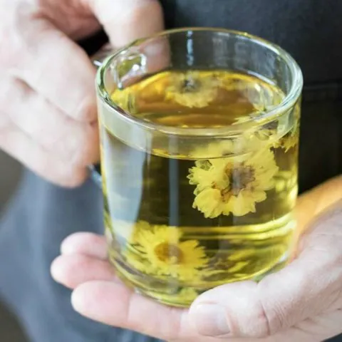 CHRYSANTHEMUM FLOWER TEA