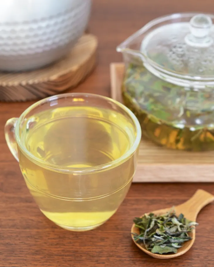 How To Brew White Tea