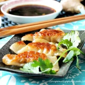 Pan-Fried Chinese Dumplings