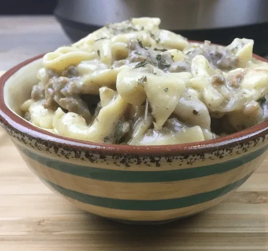 Ground Beef Stroganoff