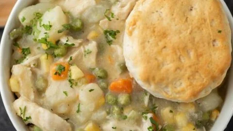 Instant Pot Chicken Pot Pie