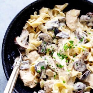 Slow Cooker Chicken and Mushroom Stroganoff
