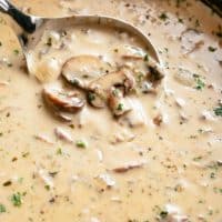 CREAM OF MUSHROOM SOUP